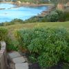 New Zealand - Waiheke Island-someone's backyard