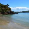 New Zealand - Waiheke Island