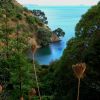 New Zealand - Waiheke Island