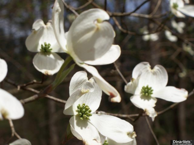 100_1296.jpg