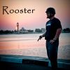 Used in Promotions for my tour "The Rooster Within" Spetember '10 