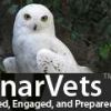 owl1.jpg