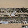 captured enemy ammo 2.JPG