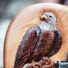 Perched Eagle on Guitar 001.jpg