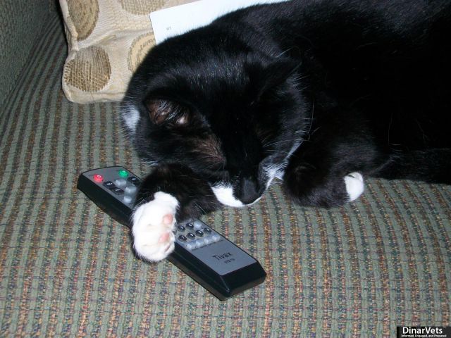 100_4809.JPG