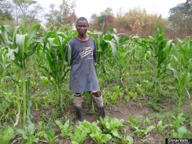 The promise of food