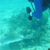 rsz_randiandstingray.JPG