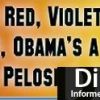 roses red.jpeg