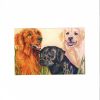 gun dogs 001.jpg