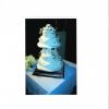 cake 001.jpg