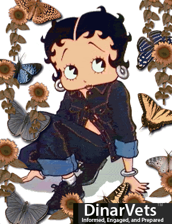 betty_boop_butterflys.gif
