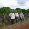 cook san pan 2010 003.jpg