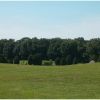 AAA back 120 Acres.JPG