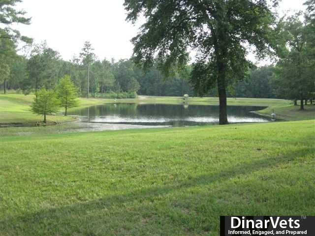 AAA Lake behind house 1.jpg