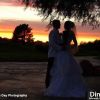Wedding 1.jpg