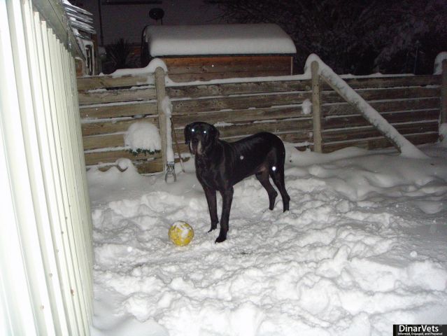 DSC01623.JPG
