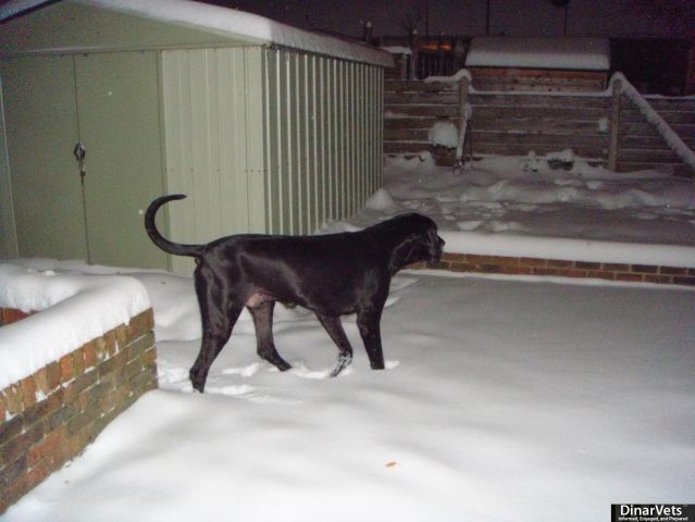 DSC01611.JPG