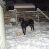 DSC01623.JPG