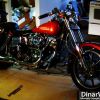 My 79 Shovelhead