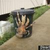 coconutcrab.jpg