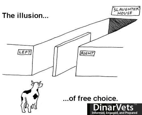 illusion-of-free-choice.jpg
