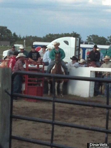 NAN'S COWBOY