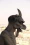 HKMEX to Cease Trading, Wil... - last post by brandyclark