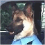 txk9popo's Photo