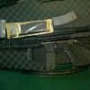 BushMaster AR15 in Case