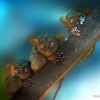 3 critters