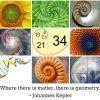 580562_546436898710659_689164774_n.jpg