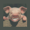 Pig-Pen's Photo
