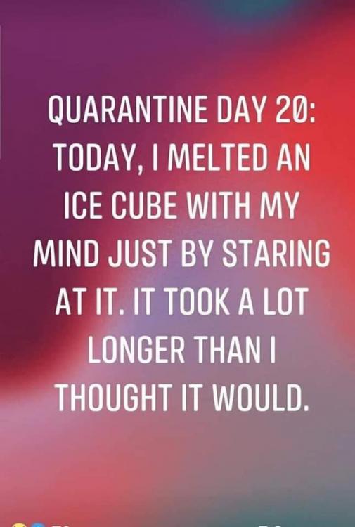 ice cube.jpg
