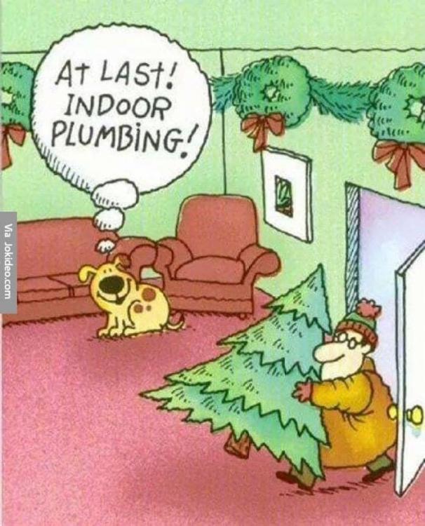 Christmas indoor plumbing.jpg