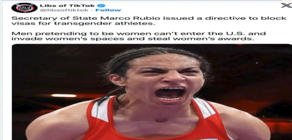 image.thumb.png.1bf3f95ed993d157a1ba7b3a5e1f4d99.png