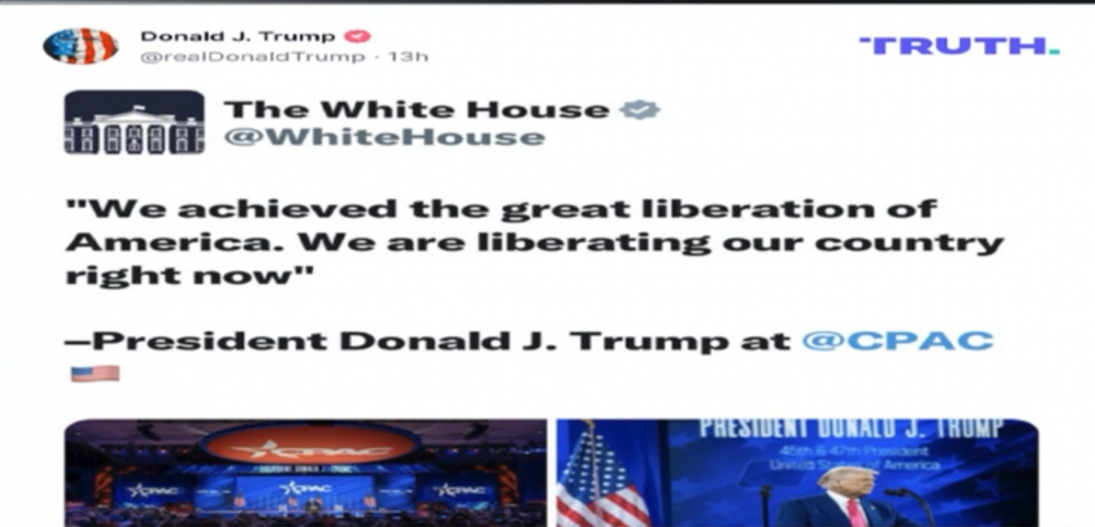 image.thumb.png.79e87dcaee1c0d2a1c96d6892bac796f.png