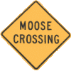 moose55